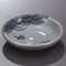 Plates 19739