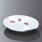 Plates 20025