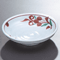 Plates 20109