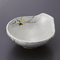 Tempura Plates and Sauce Plates 20310