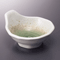 Tempura Plates and Sauce Plates 20628