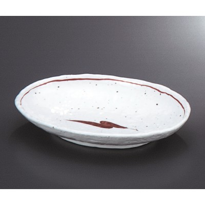 Multi-Purpose Plates 21009