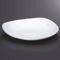 Multi-Purpose Plates 21117