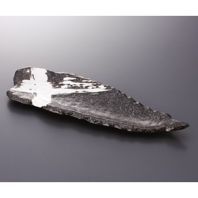 Multi-Purpose Plates 22404