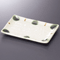 Broiled Fish Plates 23414