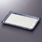 Broiled Fish Plates 23415