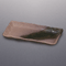 Broiled Fish Plates 23507