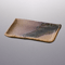 Broiled Fish Plates 23628