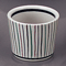 Bowls 24612