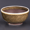 Bowls 24924