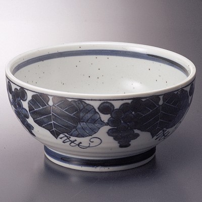 Multi-Purpose Plates and Bowls 26021