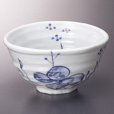 Multi-Purpose Plates and Bowls 27029