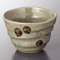 Multi-Purpose Plates and Bowls 27721