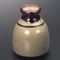 Noodle Sauce Bottles and Cups 28724