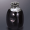 Noodle Sauce Bottles and Cups 28837