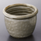 Noodle Sauce Bottles and Cups 29227