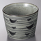 Noodle Sauce Bottles and Cups 29301