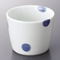 Noodle Sauce Bottles and Cups 29328