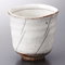 Tea Cups 37622