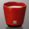 Tea Cups 38844