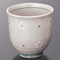 Tea Cups 39327