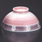 Rice Bowls 39830