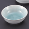 Japanese Tableware 42716