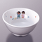 Japanese Tableware 43304