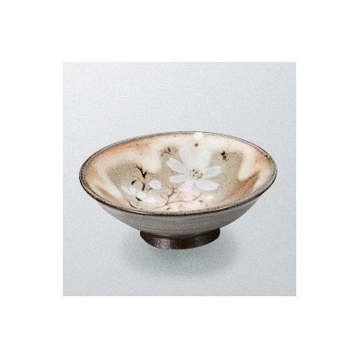 Japanese Tableware 43711