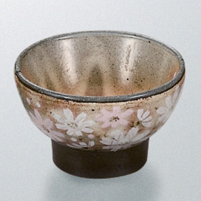 Japanese Tableware 43713