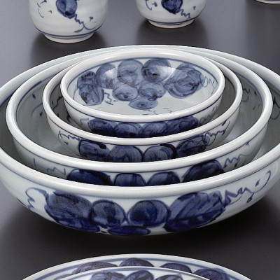 Japanese Tableware 43816