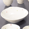 Japanese Tableware 44606