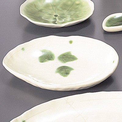 Japanese Tableware 44765