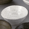 Japanese Tableware 44821