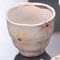 Japanese Tableware 45307
