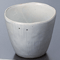 Japanese Tableware 45463