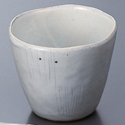 Japanese Tableware 45463