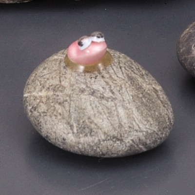 �΃J�G���~�j�s���N