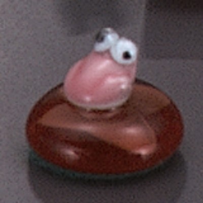 �I�n�W�L�J�G����C�i�ԁj