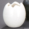 Vases 47217
