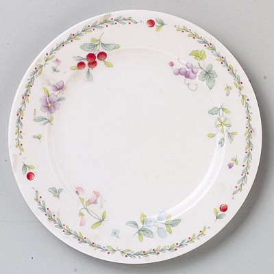 Collection of Western Plates 52252