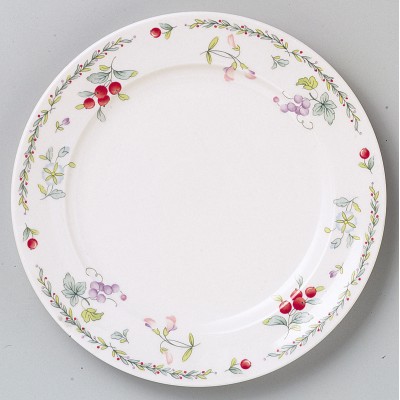 Collection of Western Plates 52255
