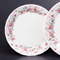 Collection of Western Plates 53801