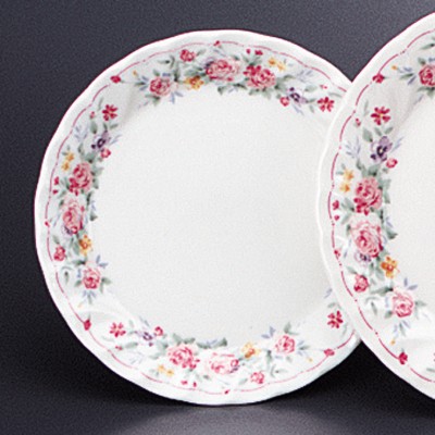 Collection of Western Plates 53801