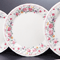 Collection of Western Plates 53802