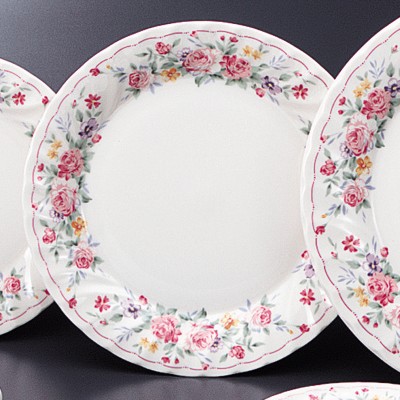 Collection of Western Plates 53804