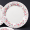 Collection of Western Plates 53805