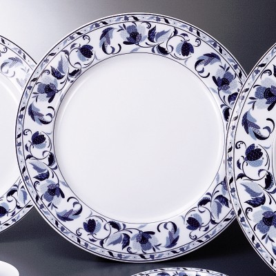 Collection of Western Plates 53863