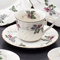 Collection of Western Plates 53909