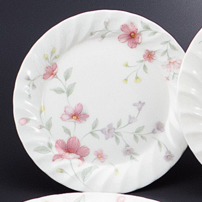 Collection of Western Plates 53931